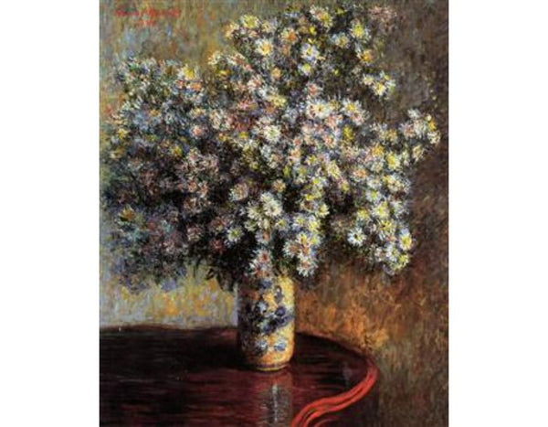 Asters 