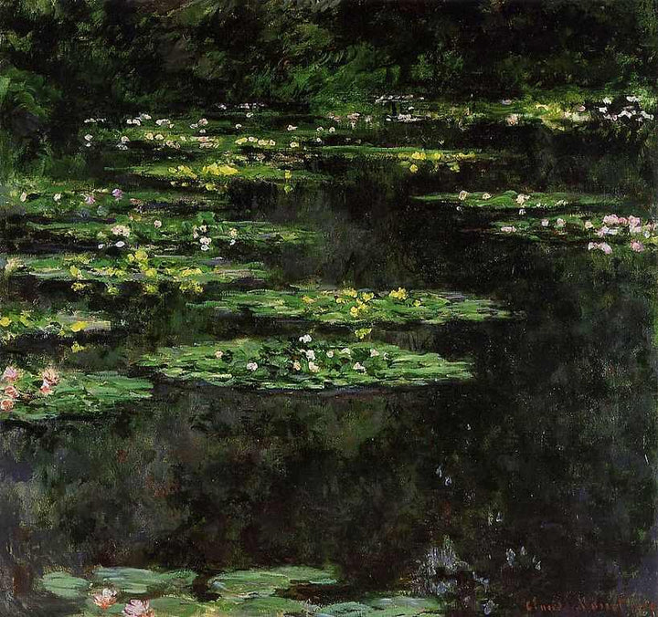 Water-Lilies V 
