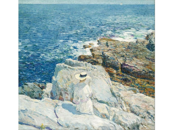 The South Ledges, Appledore 