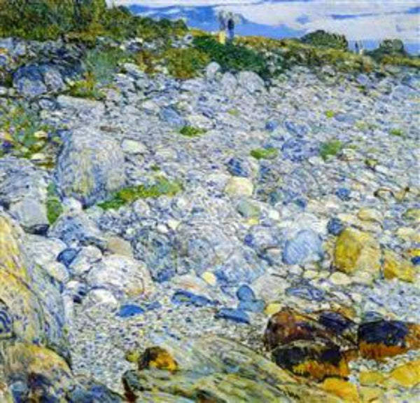 Rocky Beach, Appledore 