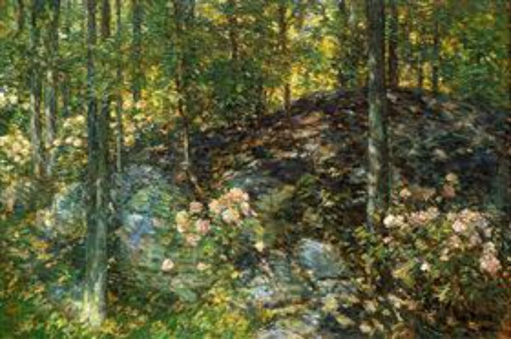 Laurel on the Ledges 
