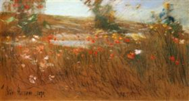 Poppies, Isles of Shoals III 