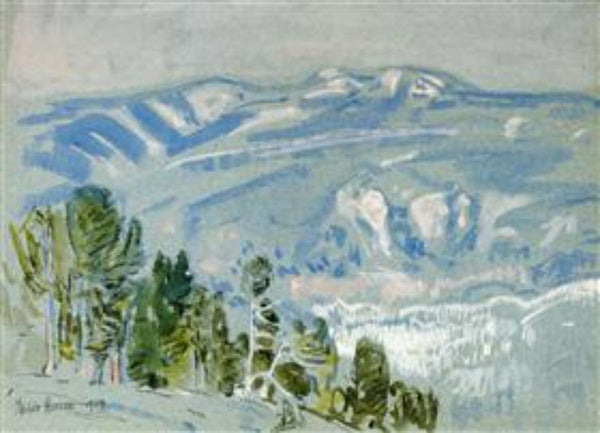 Looking towards Mount Adams from Mount Hood 