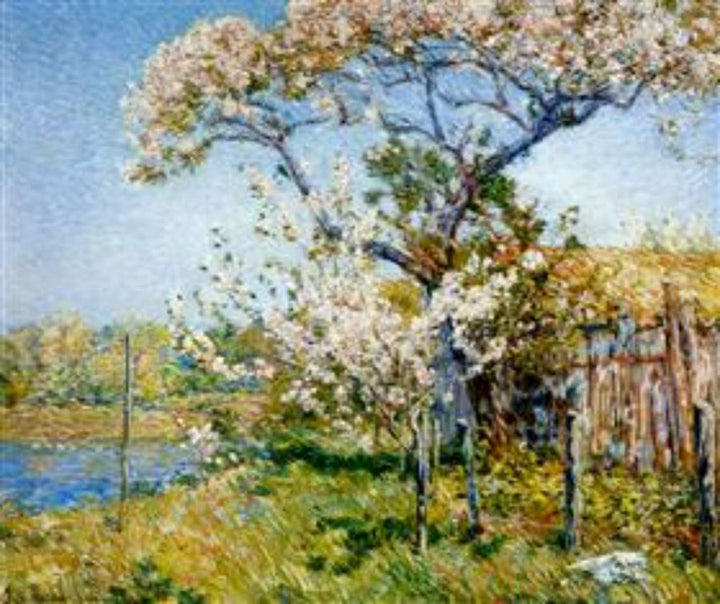 Apple Trees in Bloom, Old Lyme 
