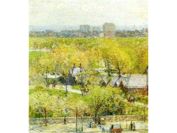 Across the Park 