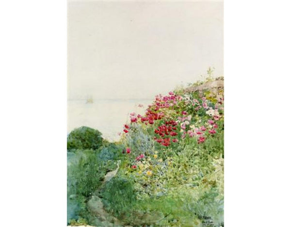 Field of Poppies, Isles of Shaos, Appledore 