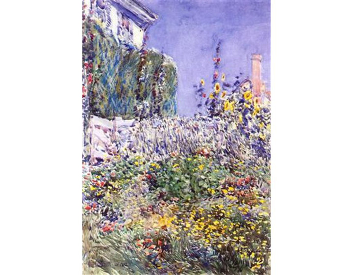Dexter's Garden 