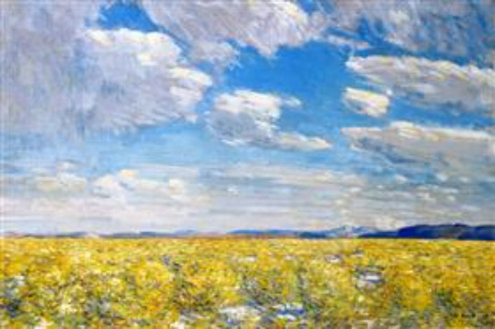 Afternoon Sky, Harney Desert 