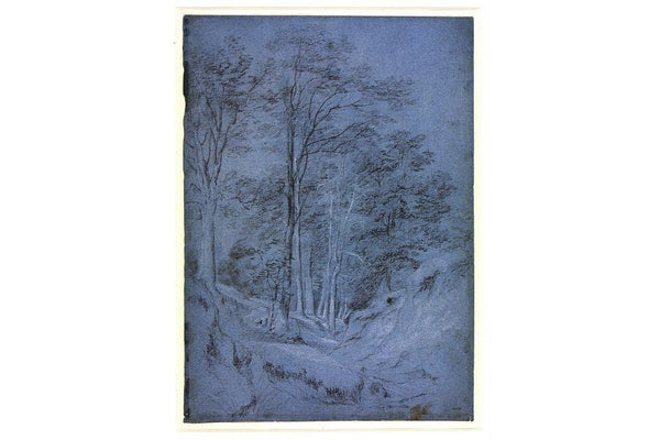 Study of ash and other trees Painting by John Constable