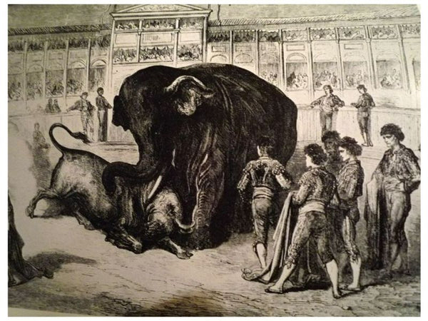 Elephant