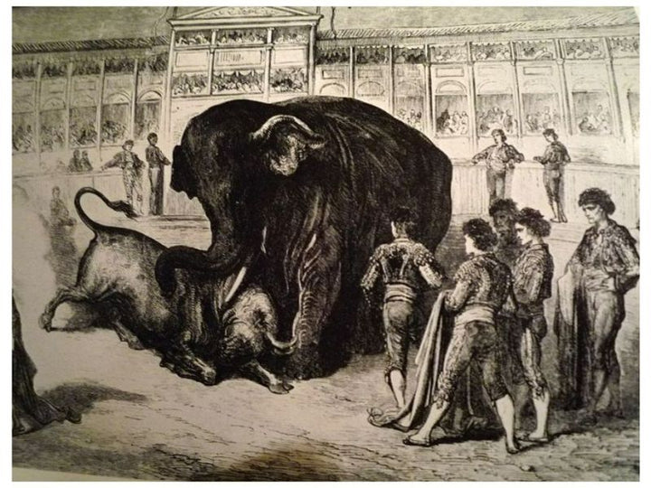 Elephant