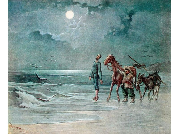 Don Quixote 81 
