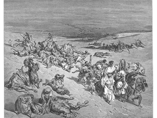 The Fifth Plague. Livestock Disease 