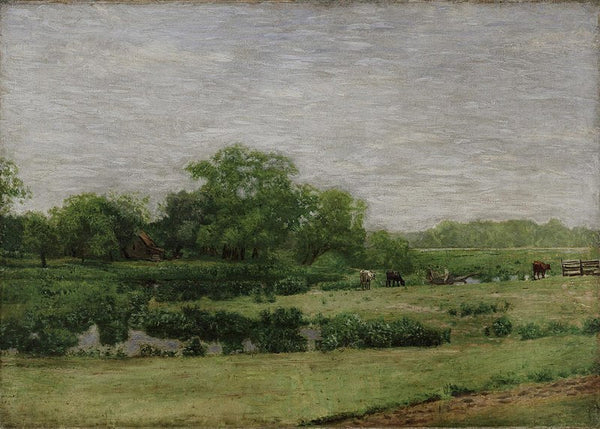 The Meadows, Gloucester 