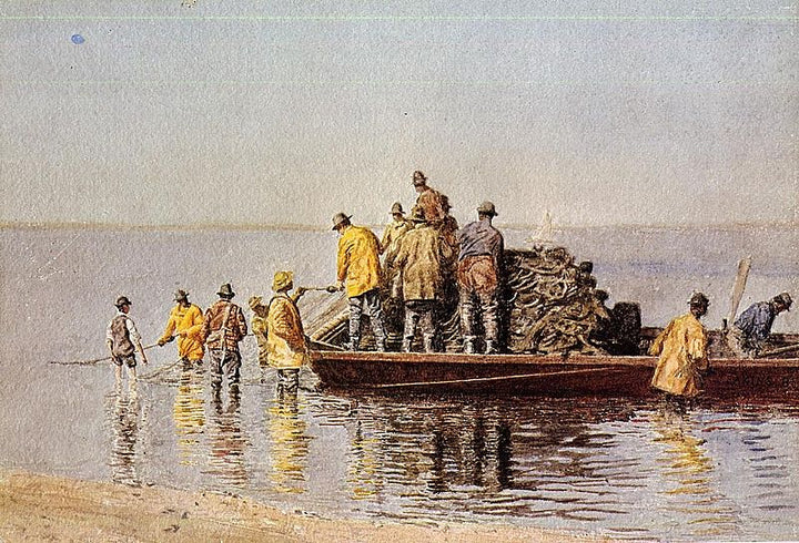Taking up the Net 