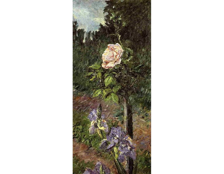 Rose With Purple Iris Garden At Petit Gennevilliers