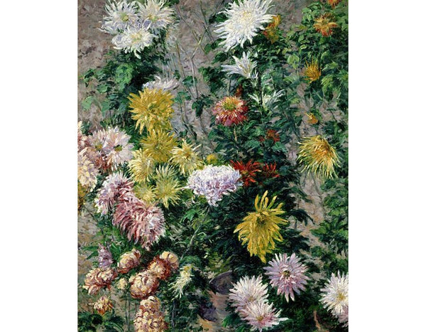 White and Yellow Chrysanthemums, Garden at Petit Gennevilliers