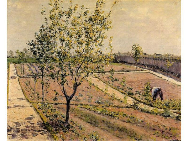 Kitchen Garden Petit Gennevilliers