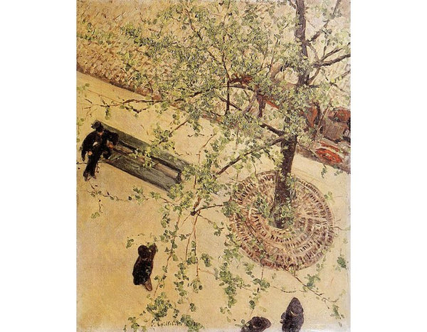 Boulevard Seen From Above
