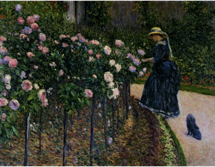 Roses Garden At Petit Gennevilliers
