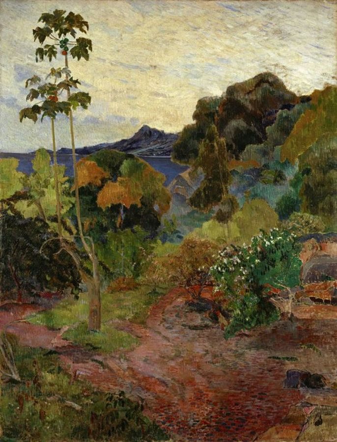 Tropical Vegetation 