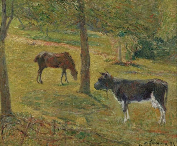 Horse And Cow In A Field 
