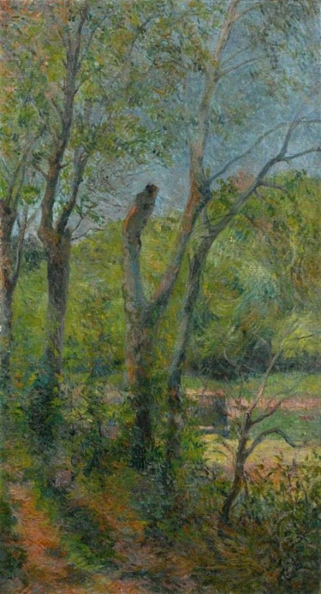 Willows 