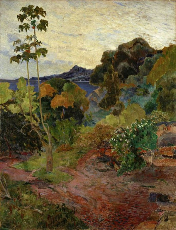 Tropical Vegetation, Martinique 