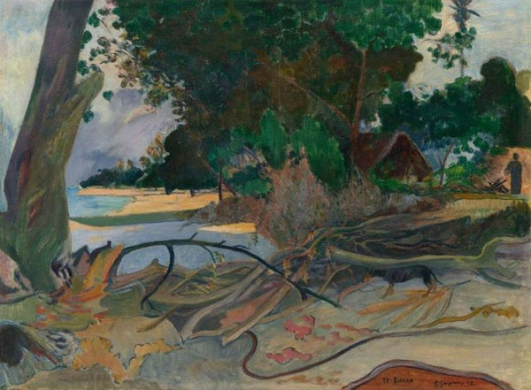 The hibiskus tree 