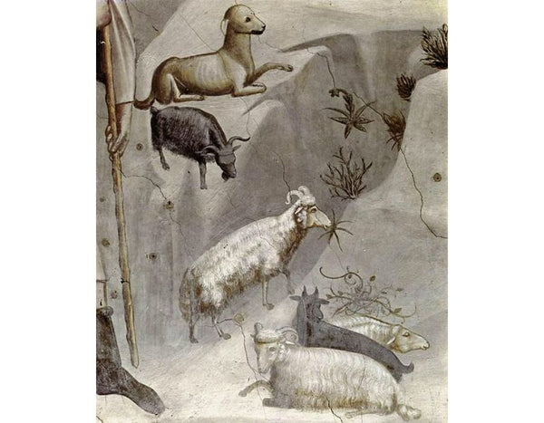 No. 5 Scenes from the Life of Joachim- 5. Joachim's Dream (detail) 1304-06
