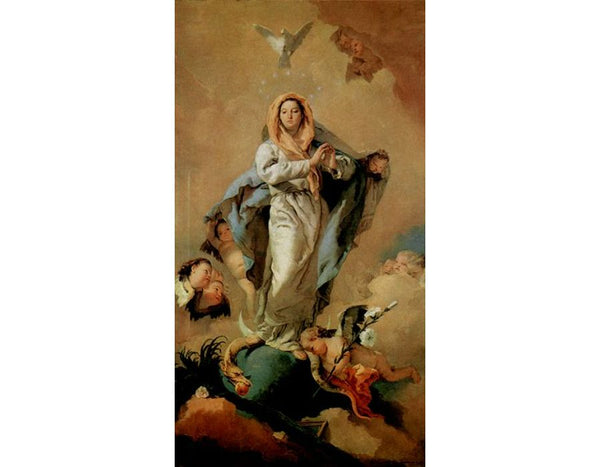 The Immaculate Conception
