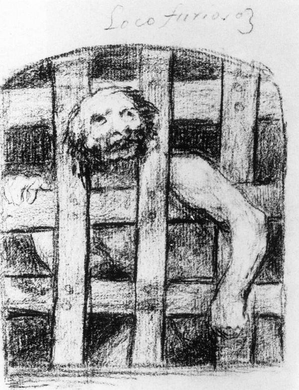 A Lunatic behind Bars 