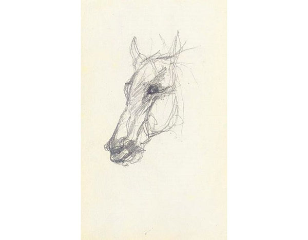 Tete de cheval 3 