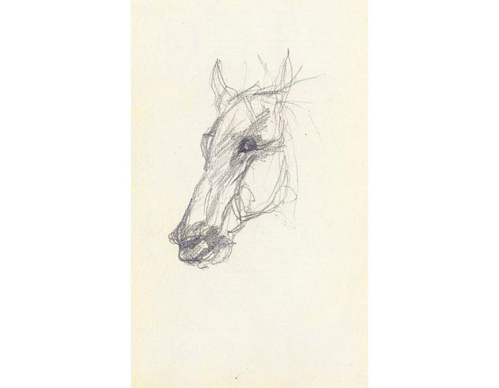 Tete de cheval 3 