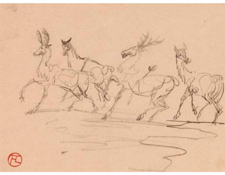 Cerfs et biches 
