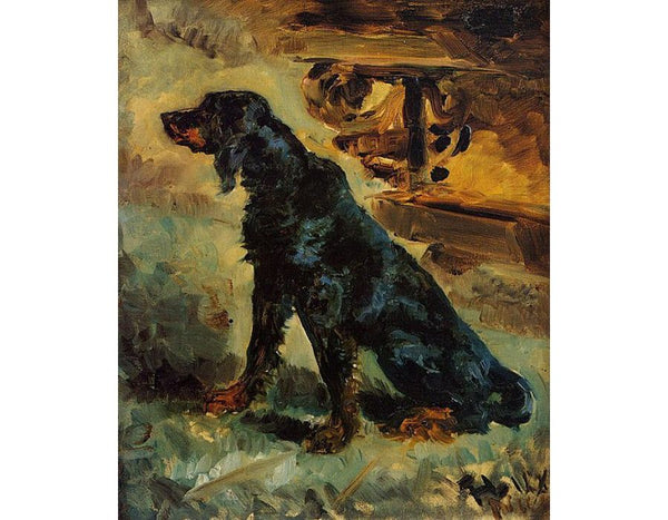 Dun, a Gordon Setter Belonging to Comte Alphonse de Toulouse-Lautrec 
