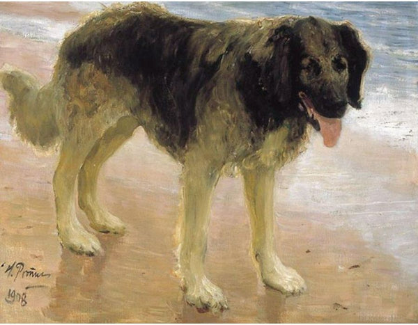 Man's best friend 