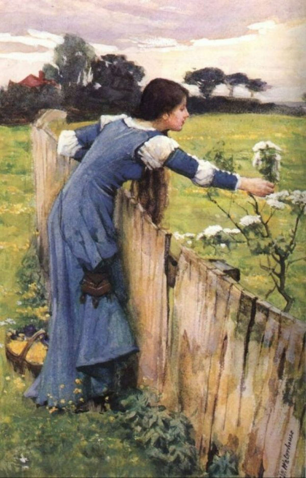 The Flower Picker 