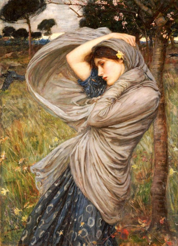 Boreas study 1904 
