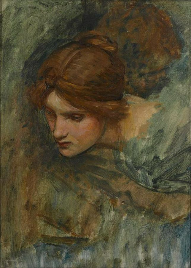 Study for the Head of Venus 