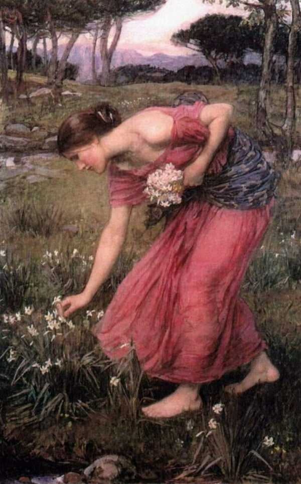 Narcissus 1912 