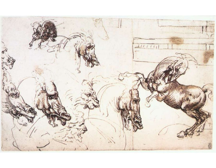Study of horses for the Battle of Anghiari 1503-04 
