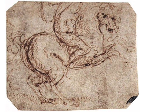 Study of a rider 
