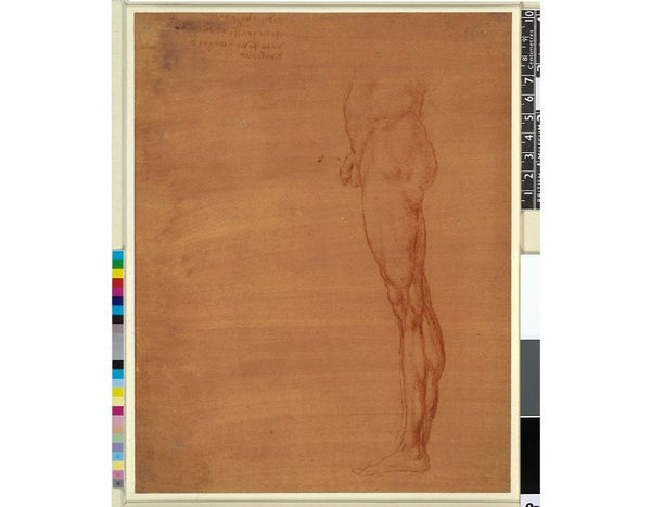 The Abdomen and Leg of a Man 