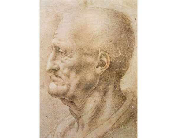 Profile Of An Old Man 