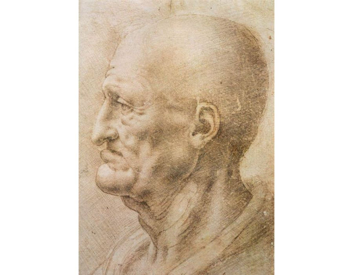 Profile Of An Old Man 