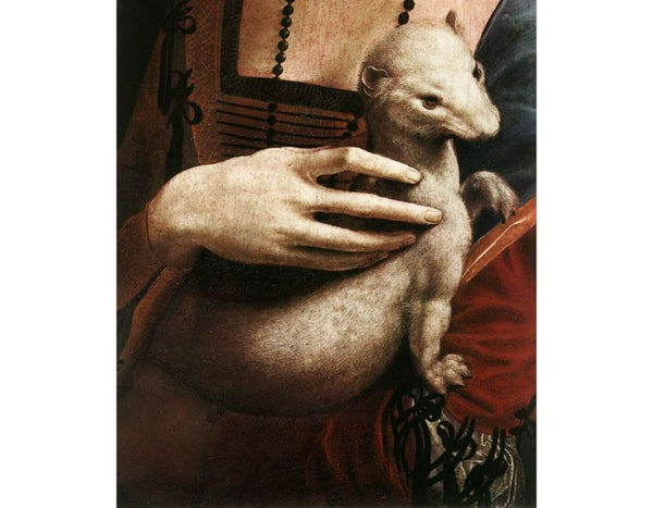 Portrait of Cecilia Gallerani (detail) 1483-90 