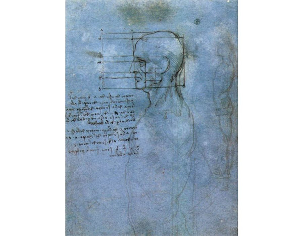Study Of Proportion 