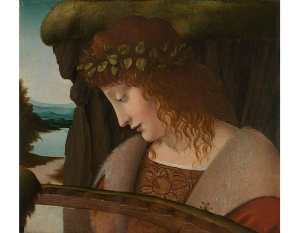 Narcissus 
