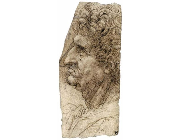 Head of a Man Facing to the Left 
